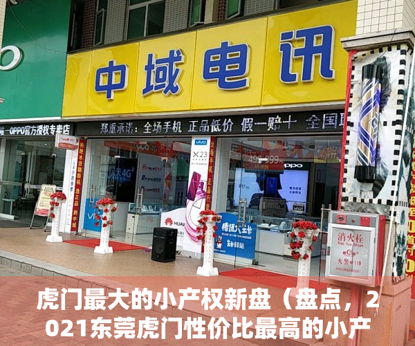 虎门最大的小产权新盘（盘点，2021东莞虎门性价比最高的小产权房，三房仅36万！）