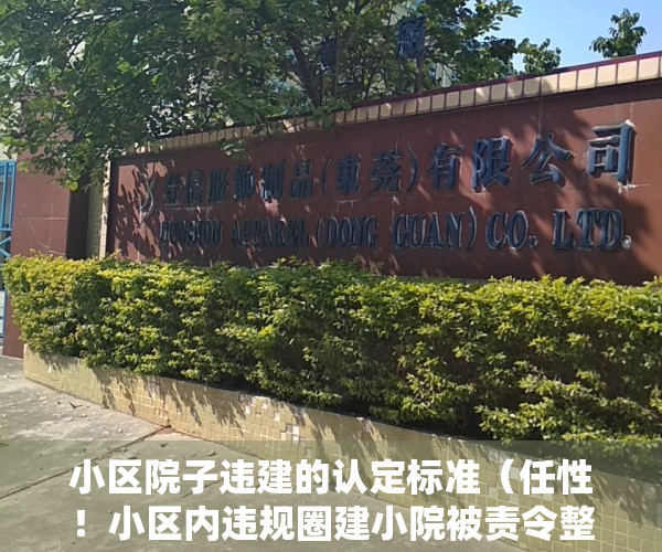 小区院子违建的认定标准（任性！小区内违规圈建小院被责令整改，业主不但不听还越建越多）