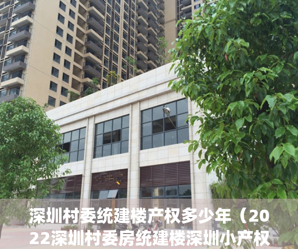 深圳村委统建楼产权多少年（2022深圳村委房统建楼深圳小产权房现状分析报告(深圳村委统建楼最新政策)）