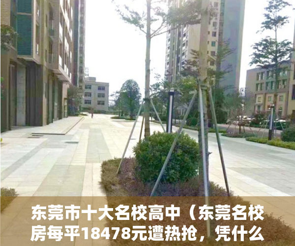 东莞市十大名校高中（东莞名校房每平18478元遭热抢，凭什么？ 幸福里有好房）