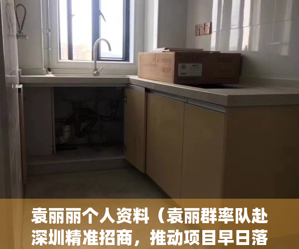 袁丽丽个人资料（袁丽群率队赴深圳精准招商，推动项目早日落地）(袁丽华个人简历)