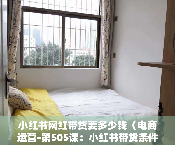 小红书网红带货要多少钱（电商运营-第505课：小红书带货条件是什么？有哪些注意事项？）