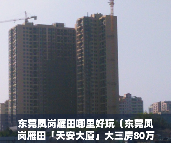 东莞凤岗雁田哪里好玩（东莞凤岗雁田「天安大厦」大三房80万一套 龙岗平湖附近小产权房）