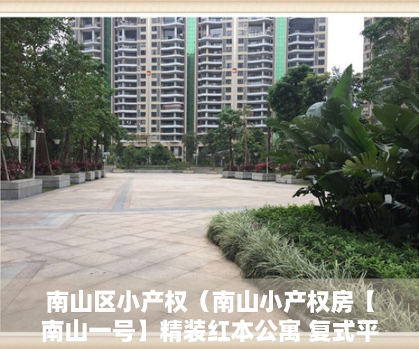 南山区小产权（南山小产权房【南山一号】精装红本公寓 复式平层 应有尽有 一房50万起 两房150万起  三房190万起 不限购 可分期）