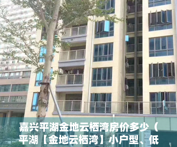 嘉兴平湖金地云栖湾房价多少（平湖【金地云栖湾】小户型、低单价、低首付、地理位置优越！）