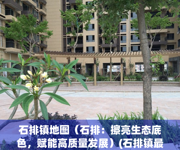 石排镇地图（石排：擦亮生态底色，赋能高质量发展）(石排镇最新城市规划图)
