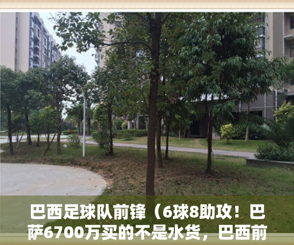 巴西足球队前锋（6球8助攻！巴萨6700万买的不是水货，巴西前锋哪有不会进球的）