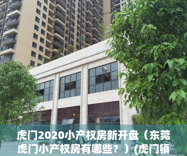虎门2020小产权房新开盘（东莞虎门小产权房有哪些？）(虎门镇哪里有小产权房出售)