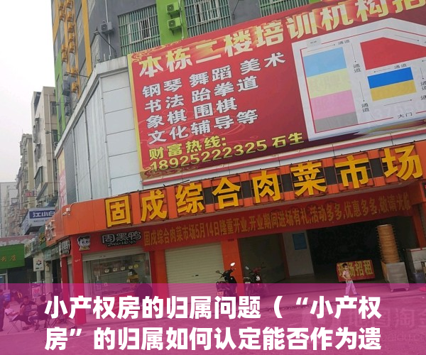 小产权房的归属问题（“小产权房”的归属如何认定能否作为遗产继承）(小产权房归谁所有)