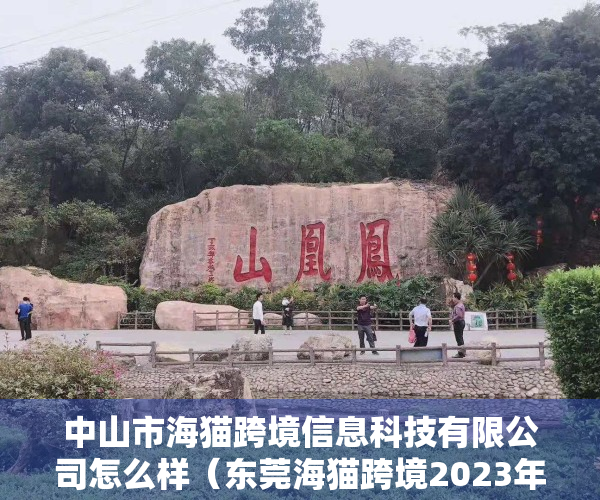 中山市海猫跨境信息科技有限公司怎么样（东莞海猫跨境2023年TikTok值得做吗？ChartGPT是这么回答的）