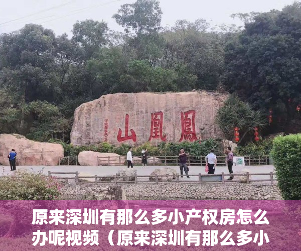 原来深圳有那么多小产权房怎么办呢视频（原来深圳有那么多小产权房）