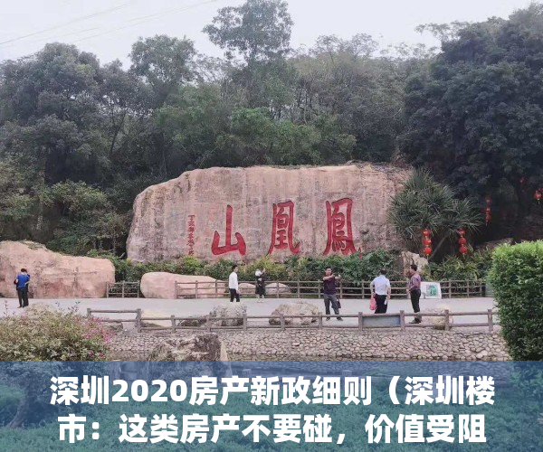 深圳2020房产新政细则（深圳楼市：这类房产不要碰，价值受阻）