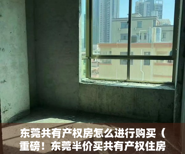 东莞共有产权房怎么进行购买（重磅！东莞半价买共有产权住房，实施细则要来了）