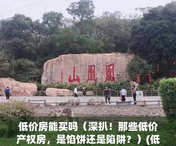 低价房能买吗（深扒！那些低价产权房，是馅饼还是陷阱？）(低价房子)