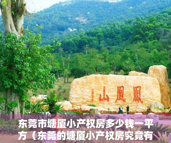 东莞市塘厦小产权房多少钱一平方（东莞的塘厦小产权房究竟有何吸引力！让深圳人扎堆塘厦！）