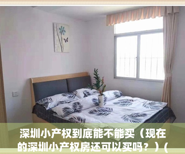 深圳小产权到底能不能买（现在的深圳小产权房还可以买吗？）(深圳小产权房子能买吗受法律保护吗)
