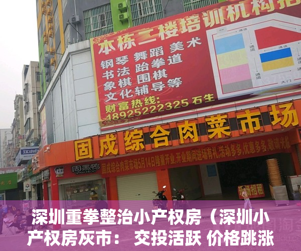 深圳重拳整治小产权房（深圳小产权房灰市： 交投活跃 价格跳涨）