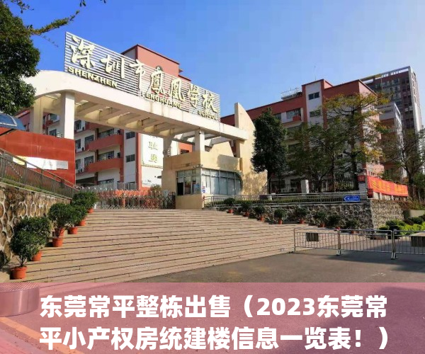 东莞常平整栋出售（2023东莞常平小产权房统建楼信息一览表！）(东莞常平小产权房价)