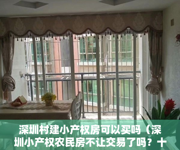 深圳村建小产权房可以买吗（深圳小产权农民房不让交易了吗？十四五要确权吗？）