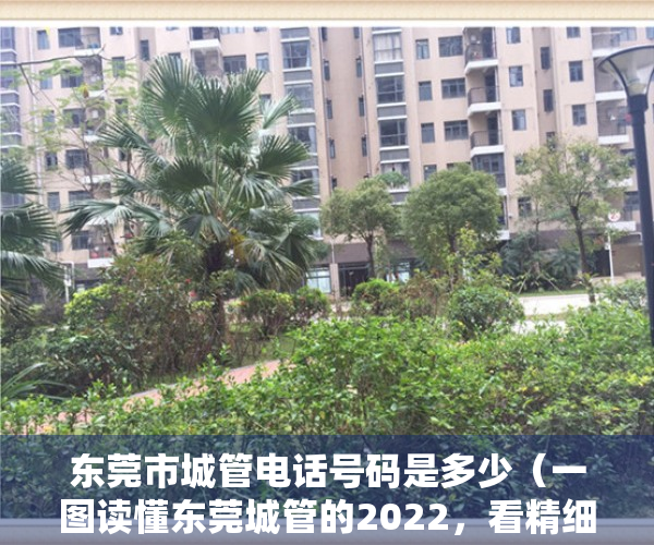 东莞市城管电话号码是多少（一图读懂东莞城管的2022，看精细化管理如何“扮靓”城市）