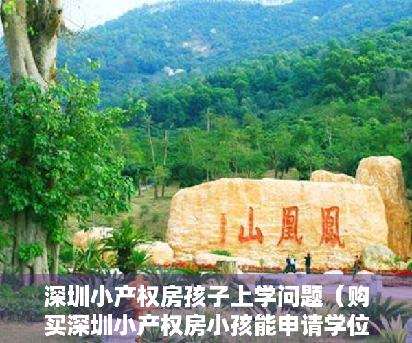 深圳小产权房孩子上学问题（购买深圳小产权房小孩能申请学位？需要什么材料？）