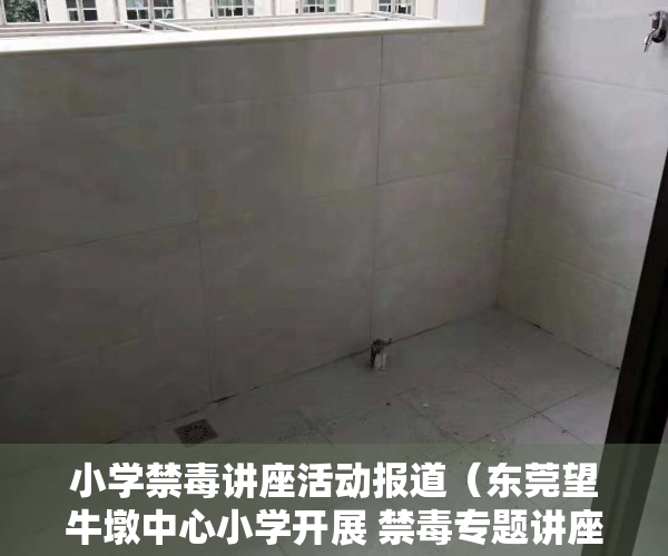 小学禁毒讲座活动报道（东莞望牛墩中心小学开展 禁毒专题讲座及宣传活动）