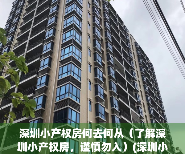 深圳小产权房何去何从（了解深圳小产权房，谨慎勿入）(深圳小产权房合法吗)