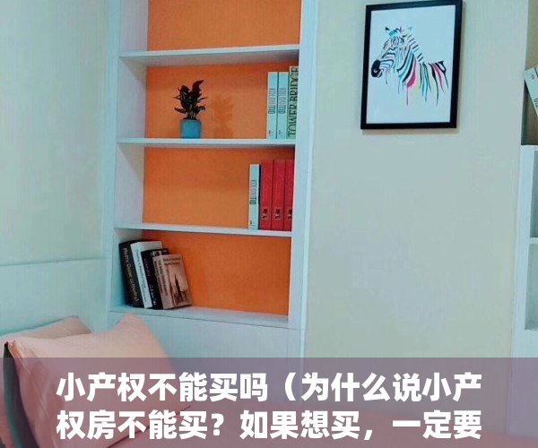 小产权不能买吗（为什么说小产权房不能买？如果想买，一定要注意这些）