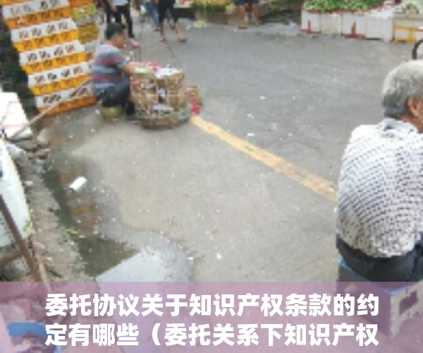 委托协议关于知识产权条款的约定有哪些（委托关系下知识产权归属问题研究）