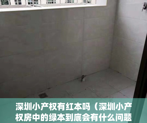 深圳小产权有红本吗（深圳小产权房中的绿本到底会有什么问题）(深圳小产权房本是什么颜色)