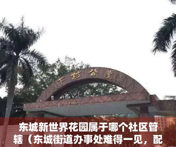 东城新世界花园属于哪个社区管辖（东城街道办事处难得一见，配套好价格低，新世纪河畔广场小区评测）