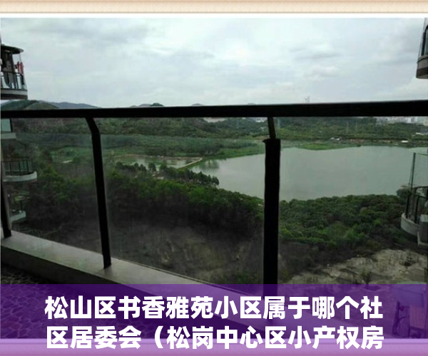 松山区书香雅苑小区属于哪个社区居委会（松岗中心区小产权房《书香名邸》新盘发售 精装两房528万套起）