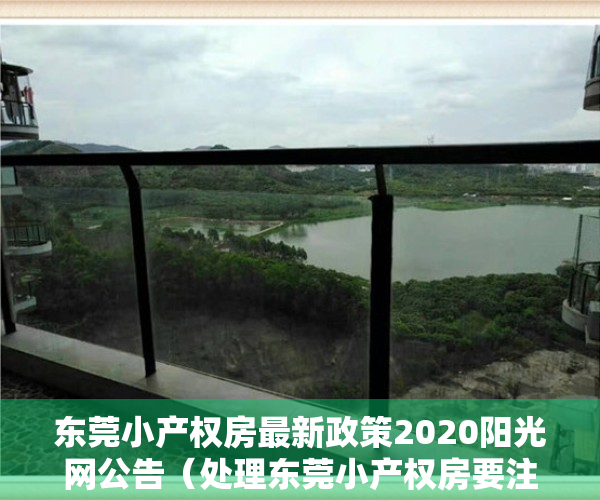 东莞小产权房最新政策2020阳光网公告（处理东莞小产权房要注意解决各种各样的矛盾）