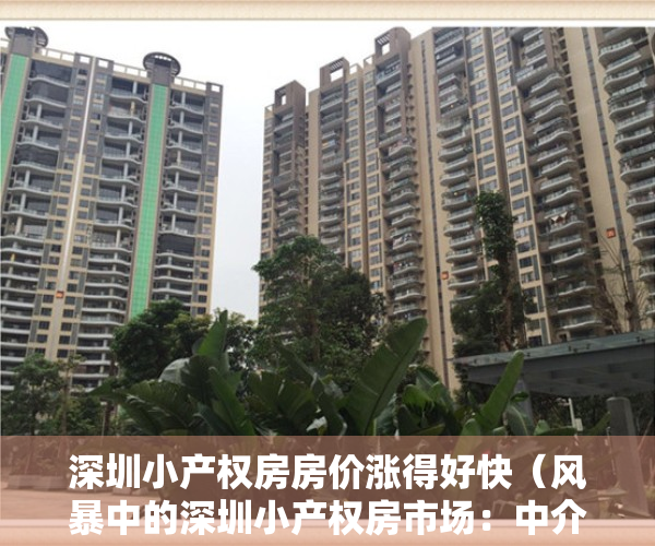 深圳小产权房房价涨得好快（风暴中的深圳小产权房市场：中介门店歇业 背后存复杂利益链）