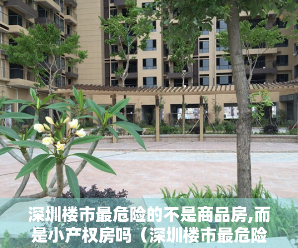 深圳楼市最危险的不是商品房,而是小产权房吗（深圳楼市最危险的不是商品房，而是小产权房）