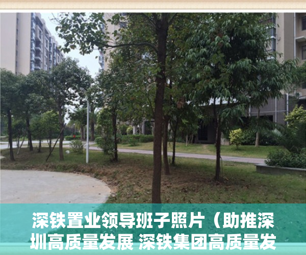 深铁置业领导班子照片（助推深圳高质量发展 深铁集团高质量发展商业峰会顺利召开）