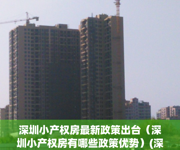 深圳小产权房最新政策出台（深圳小产权房有哪些政策优势）(深圳小产权的政策)