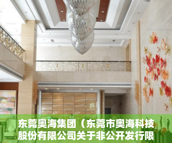 东莞奥海集团（东莞市奥海科技股份有限公司关于非公开发行限售股份解禁上市流通的提示性公告）
