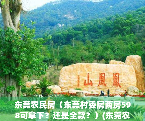 东莞农民房（东莞村委房两房598可拿下？还是全款？）(东莞农民房新政)