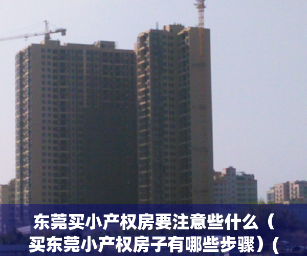 东莞买小产权房要注意些什么（买东莞小产权房子有哪些步骤）(东莞买小产权合适吗)