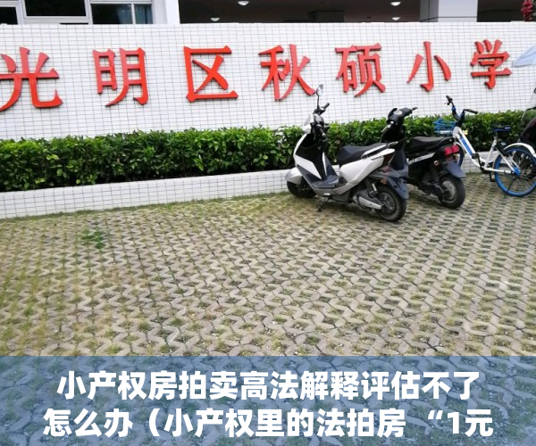 小产权房拍卖高法解释评估不了怎么办（小产权里的法拍房 “1元起拍”啥情况？没那么容易捡到“便宜”）