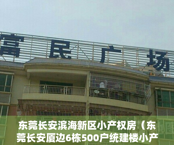 东莞长安滨海新区小产权房（东莞长安厦边6栋500户统建楼小产权房 【滨海明珠】花园   带车库）
