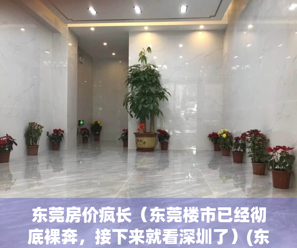 东莞房价疯长（东莞楼市已经彻底裸奔，接下来就看深圳了）(东莞房价太离谱了)