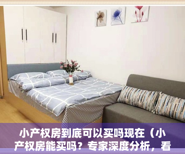 小产权房到底可以买吗现在（小产权房能买吗？专家深度分析，看完什么都明白了）