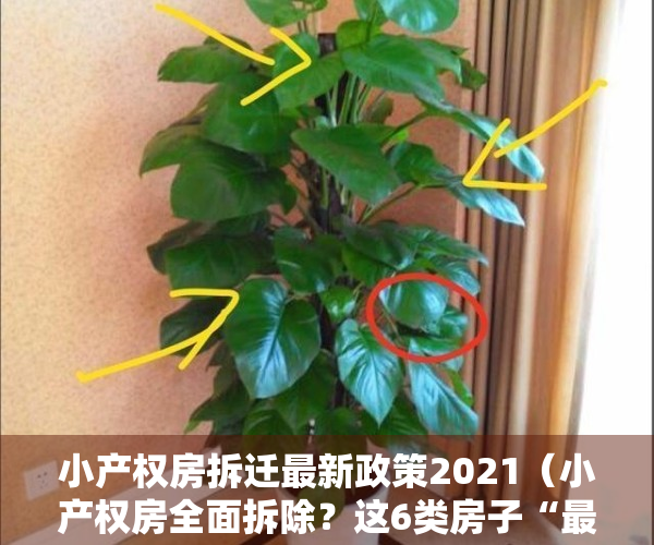 小产权房拆迁最新政策2021（小产权房全面拆除？这6类房子“最有可能”，准备买房的要留意！）