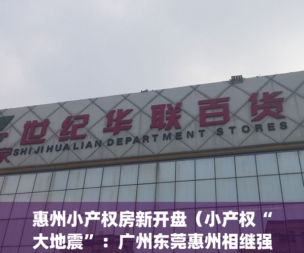 惠州小产权房新开盘（小产权“大地震”：广州东莞惠州相继强拆！）(惠州建了好多的小产权房在哪里)