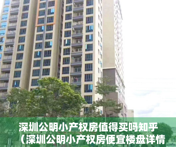 深圳公明小产权房值得买吗知乎（深圳公明小产权房便宜楼盘详情排行）