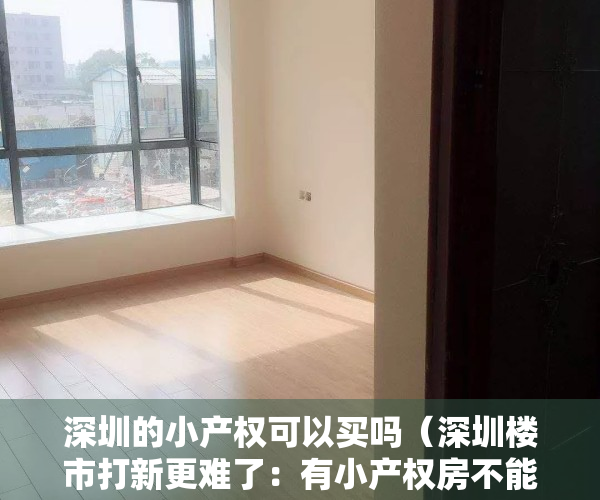 深圳的小产权可以买吗（深圳楼市打新更难了：有小产权房不能买 疑似炒房不能买）