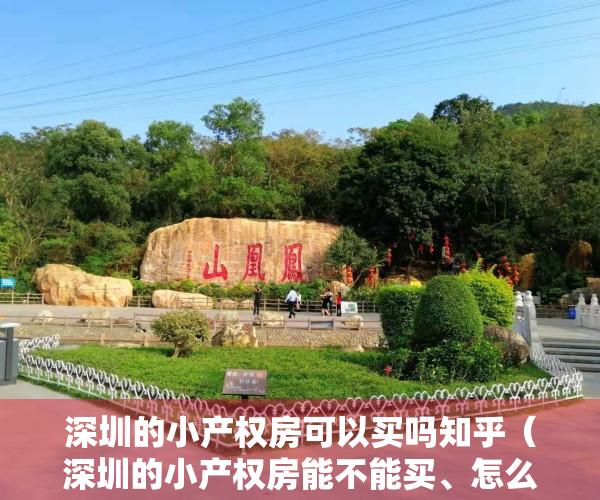 深圳的小产权房可以买吗知乎（深圳的小产权房能不能买、怎么买、适合哪些人买？）