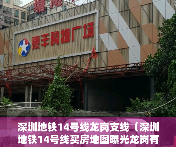 深圳地铁14号线龙岗支线（深圳地铁14号线买房地图曝光龙岗有这些新盘可选）